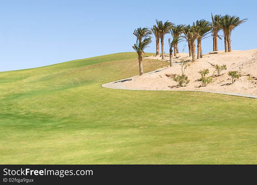 Egypt golf field in the summer time