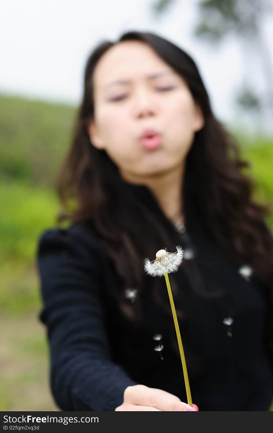 Asian woman and dandelion in spring。