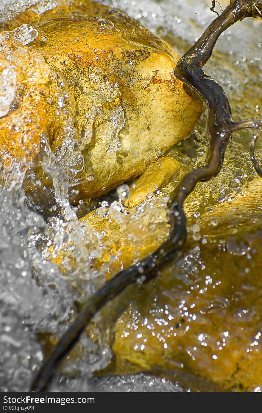 Water from a stream, splashing over a brown root, growing over a rock. Water from a stream, splashing over a brown root, growing over a rock