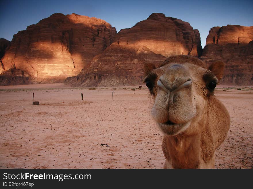 Desert Wadi Rum in Jordan