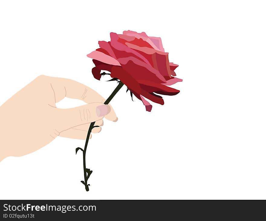 One hand with beautiful red rose. One hand with beautiful red rose