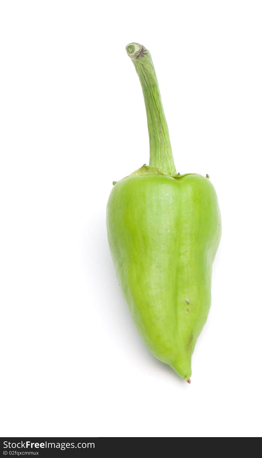 Composition from a green pepper on the white isolated background