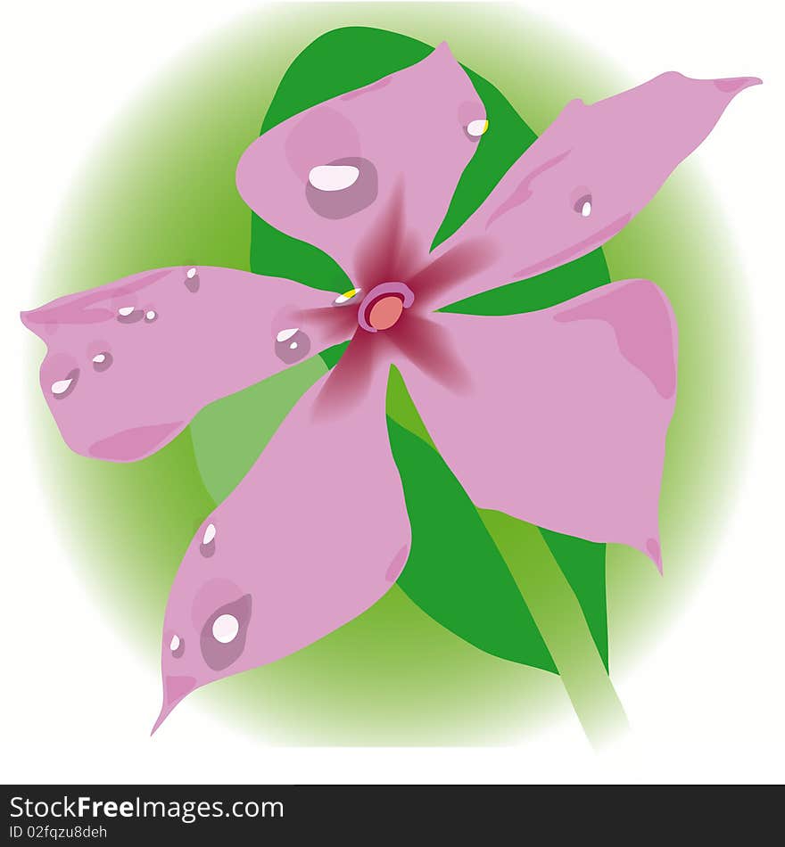 It's Flover. Created in Illustrator(with vector). It's Flover. Created in Illustrator(with vector)