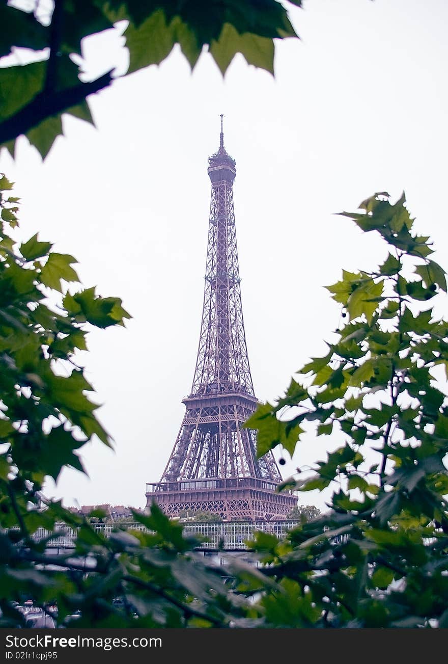 Eiffel Tower in Paris among the spring foliage