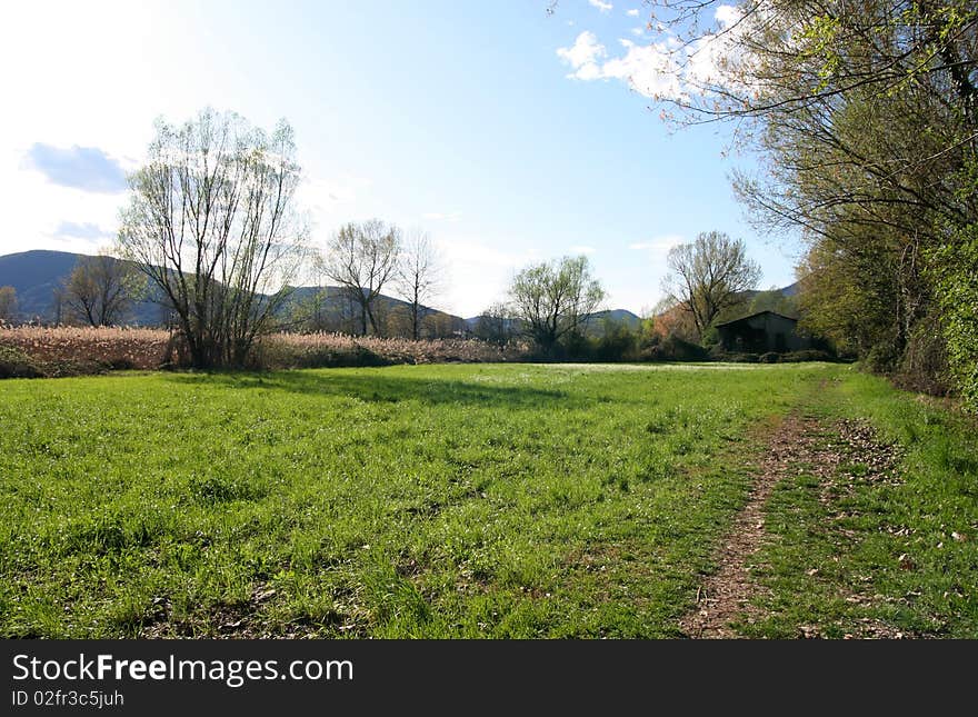 A green landscape in the north of Italy