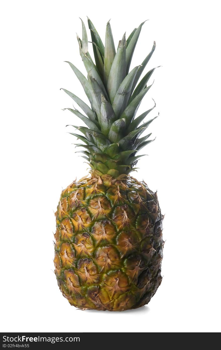 Single pineapple isolated on white