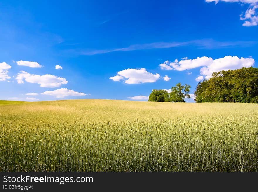 Rural fields landscape with clouds. Rural fields landscape with clouds