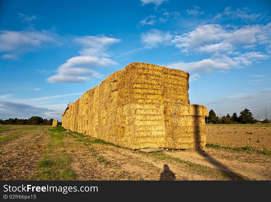 Bale of straw in autumn in intensive colors. Bale of straw in autumn in intensive colors