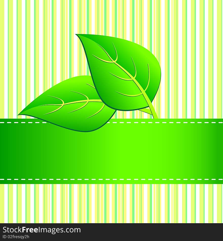 Green eco card.Vector illustration.