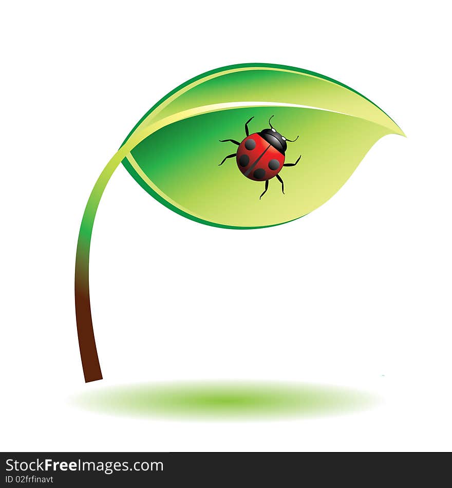 Green leaf with ladybug. Vector