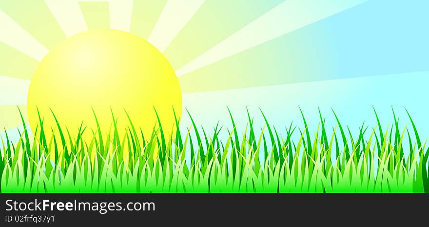 Light Sunny Daytime Background with Green Grass