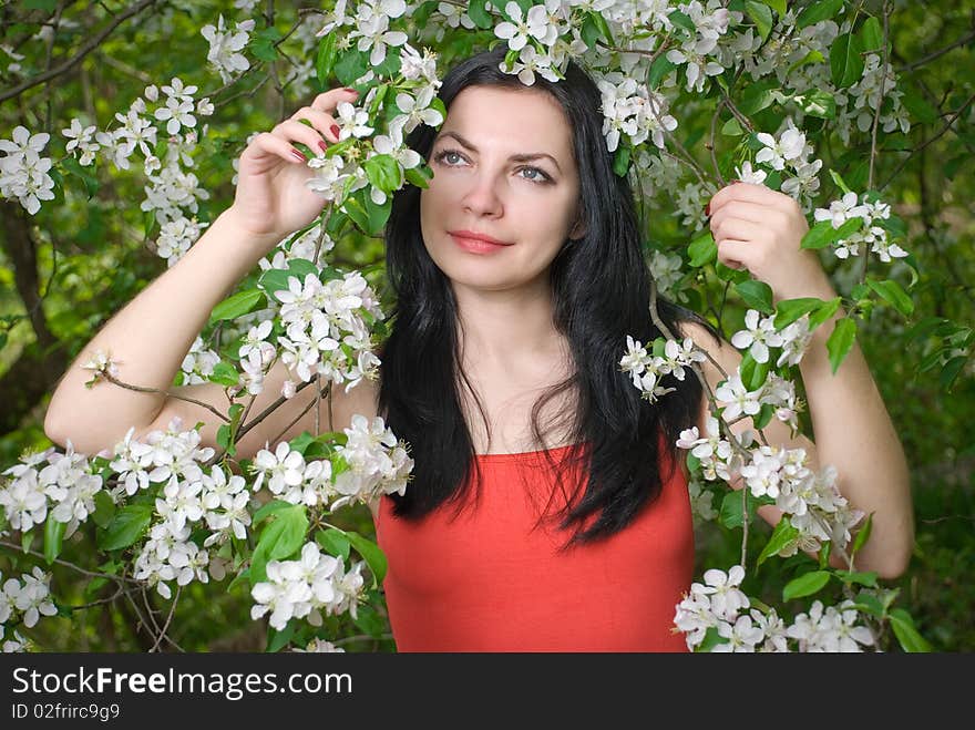 Young Woman In Flowers