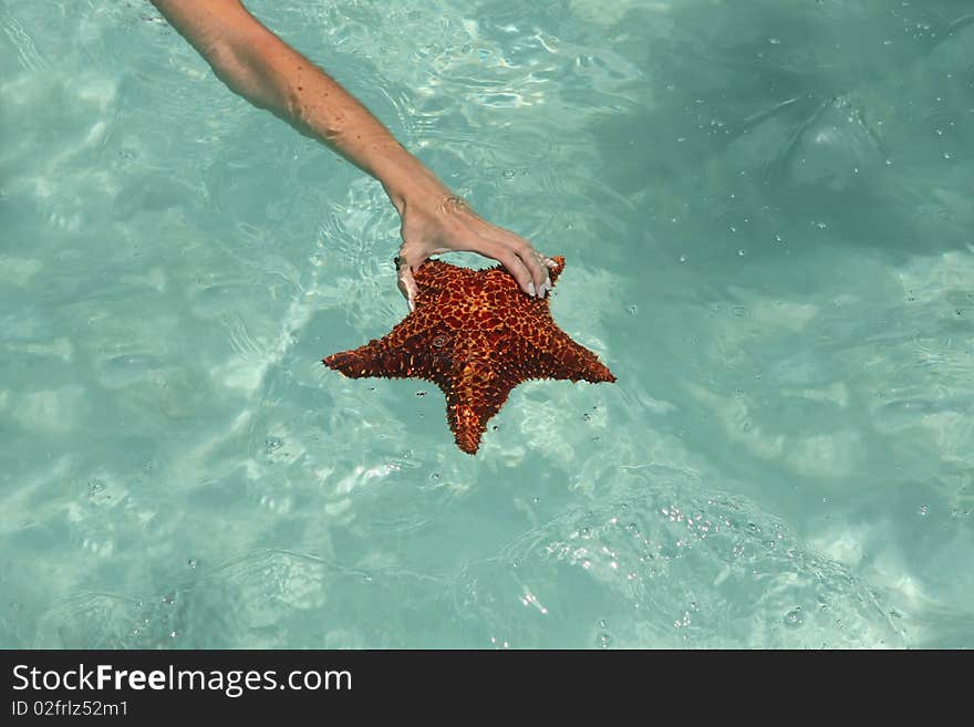 Woman holding a starfish in saona beach