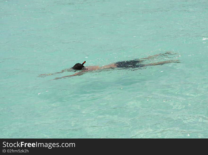 Man Snorkeling In Crystal Clear