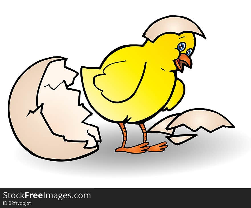 Yellow cute Chick hatching from an egg; illustration