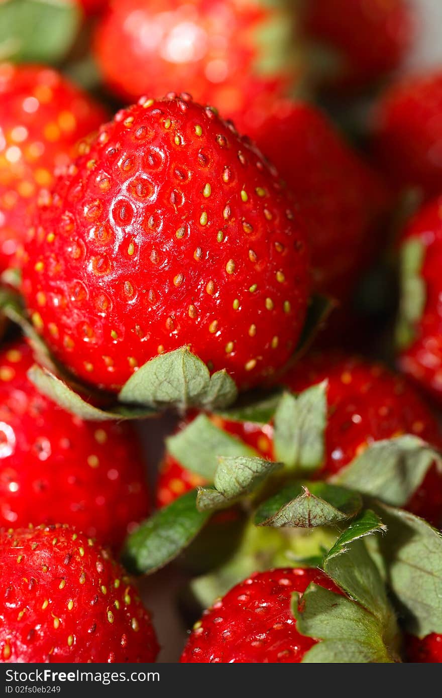 Close up delicious fresh strawberries. Close up delicious fresh strawberries