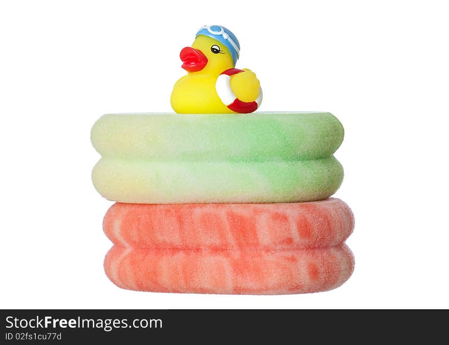 Swimming duck over sponges