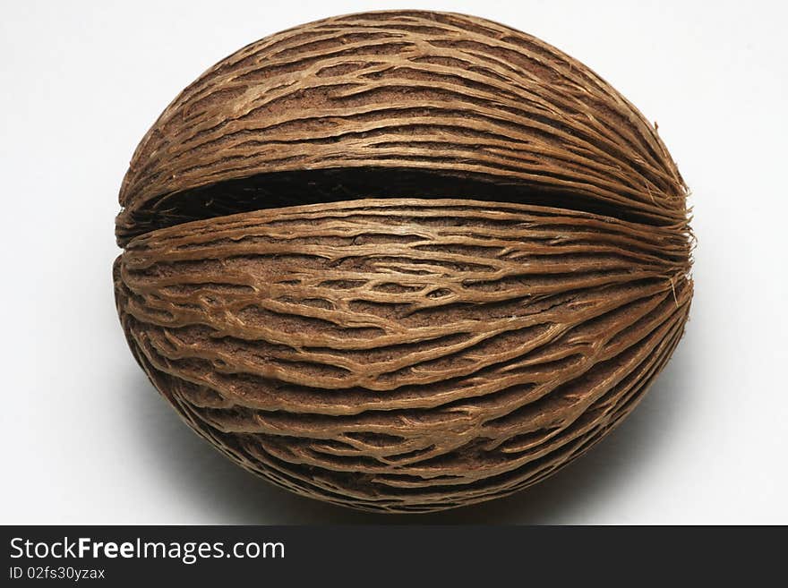 Tin Ball Seed