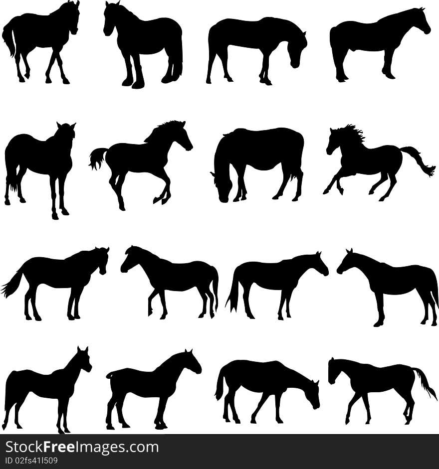 Horse from all over the world