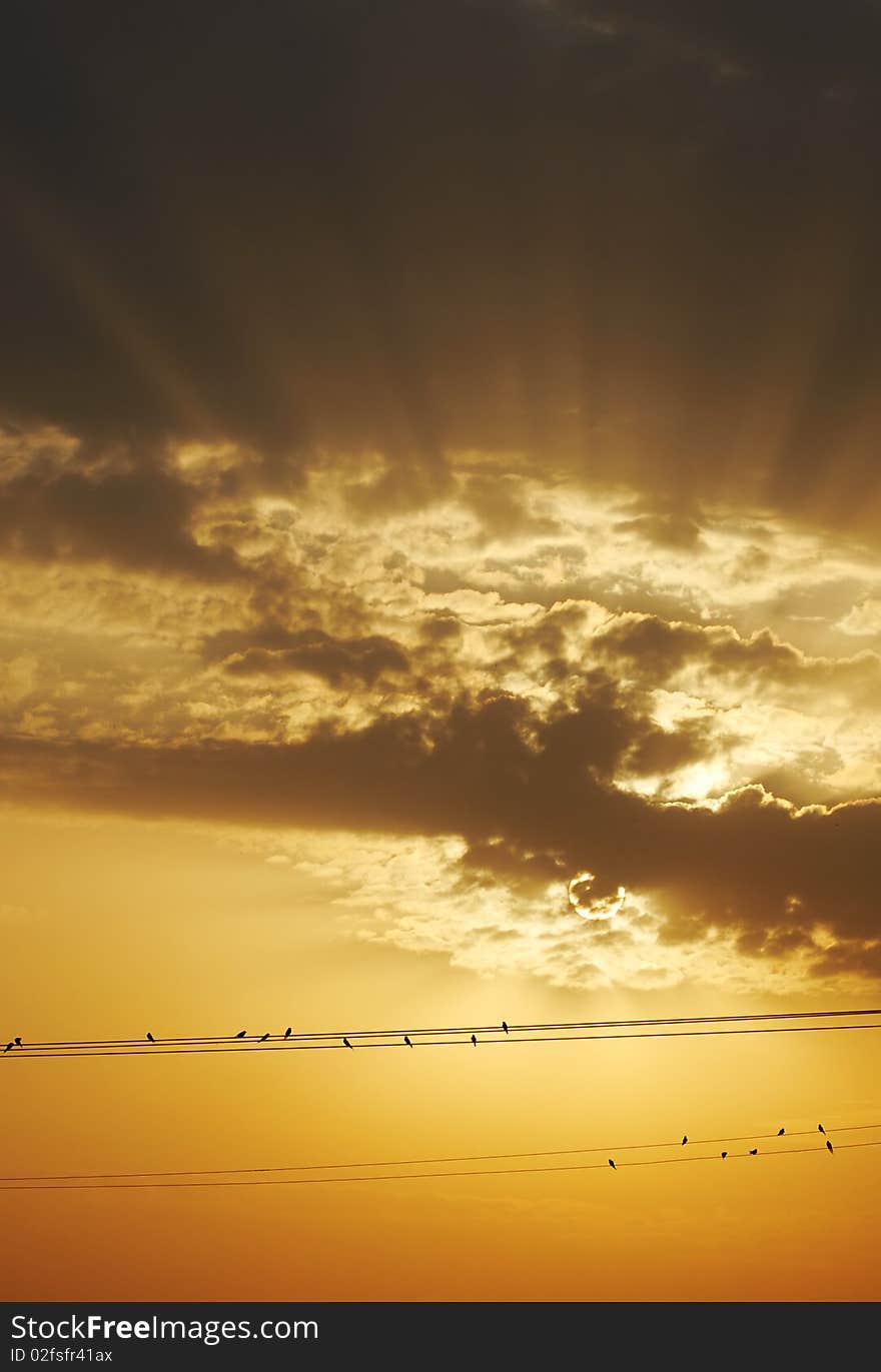 Birds sitting on telephone wires, on the background of the sunset sky. Birds sitting on telephone wires, on the background of the sunset sky.