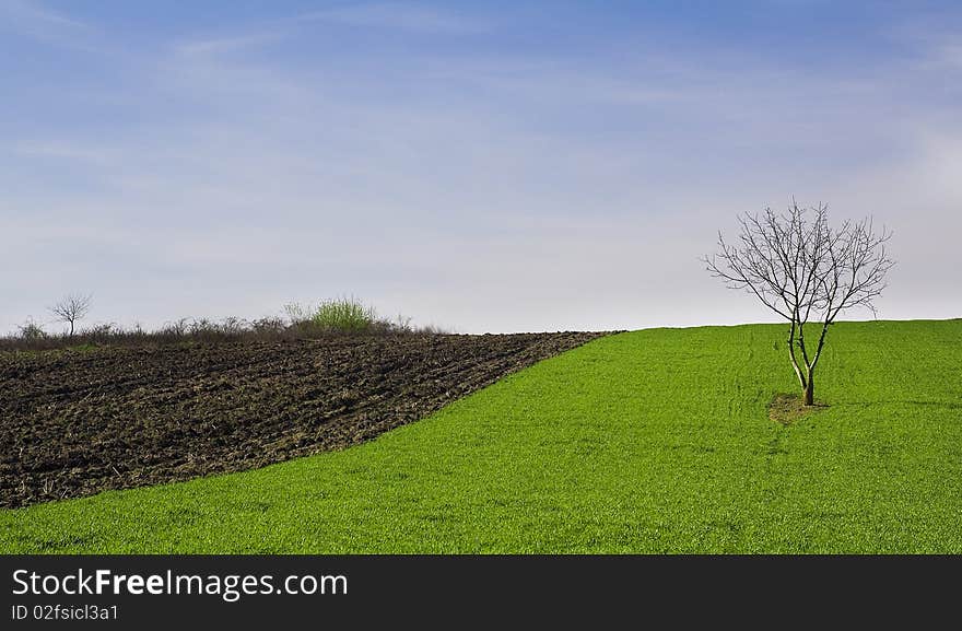 Green field, Photo taken in Romania