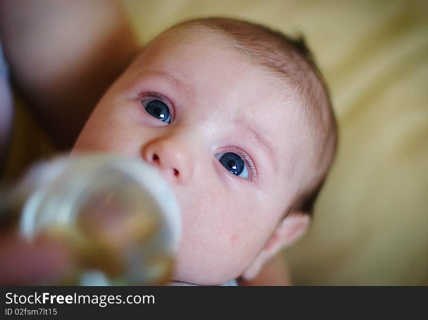 Little baby blue eyes drinking tea