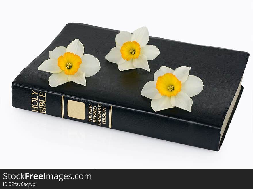 Holy bible and narcissus, isolated on white background