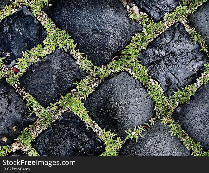 Close up cobble road with grass growing between cobbles