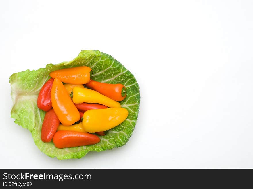 Paprika on the Cabbage Plate. Paprika on the Cabbage Plate