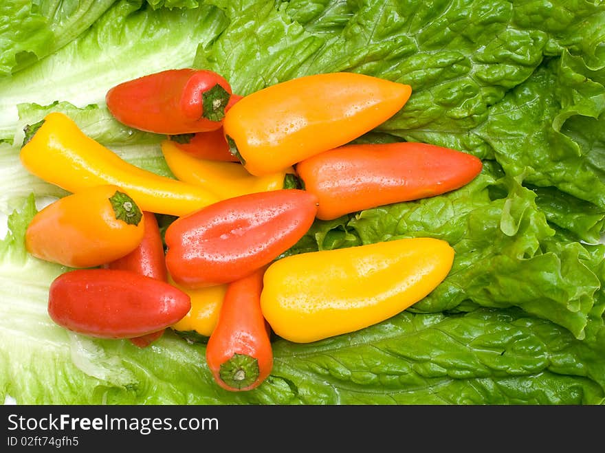 Paprika on the lettuce background. Paprika on the lettuce background