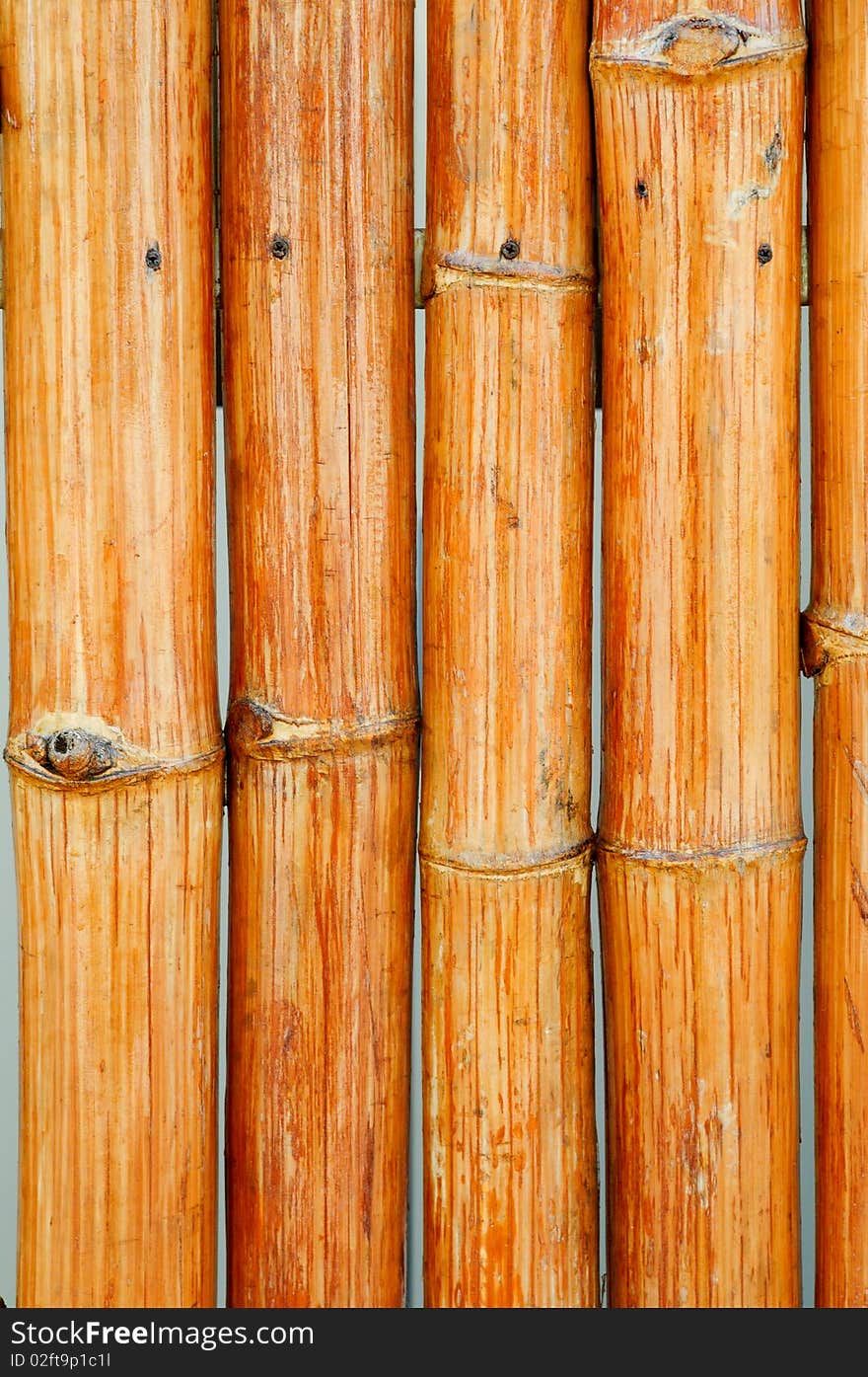 A background of large bamboo stalks