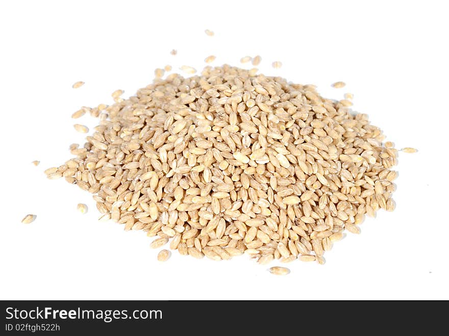 Poured wheat on white background