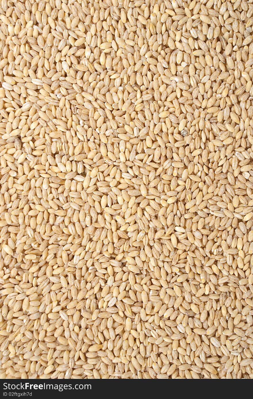 Pouerd wheat