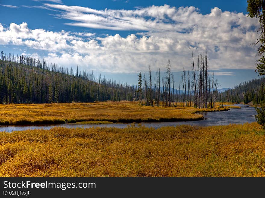 Lewis River - Yellowstone