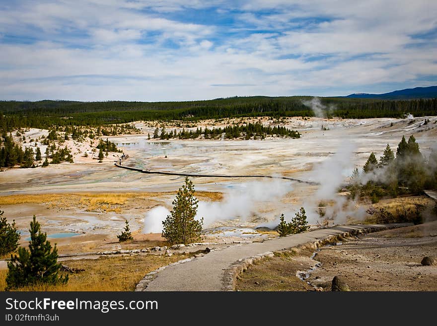 Porcelain Basin - Yellowstone