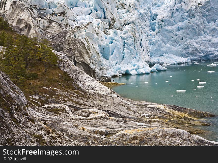 Glacier and trees