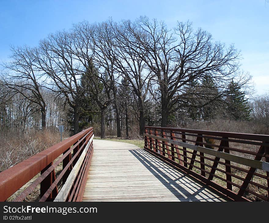 Walk way in the forest preserve