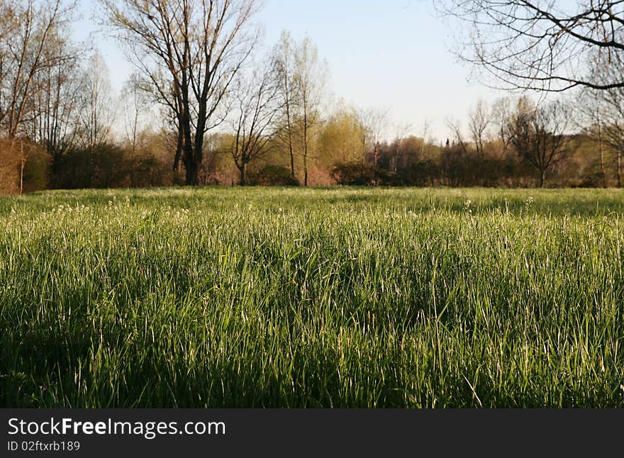 A green landscape in the north of Italy