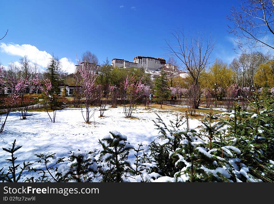 Zong-jiao-lu-kang Park, located in the north of the Potala, in the center of Lhasa city, Tibet, China. The photo was taken after snow on Apr.1,2010.