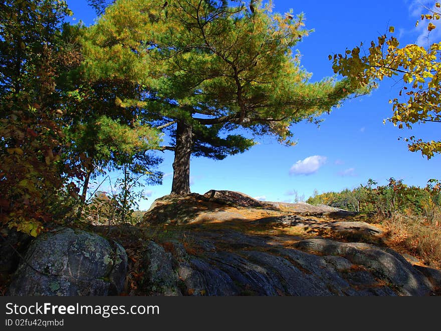 Bon echo national park