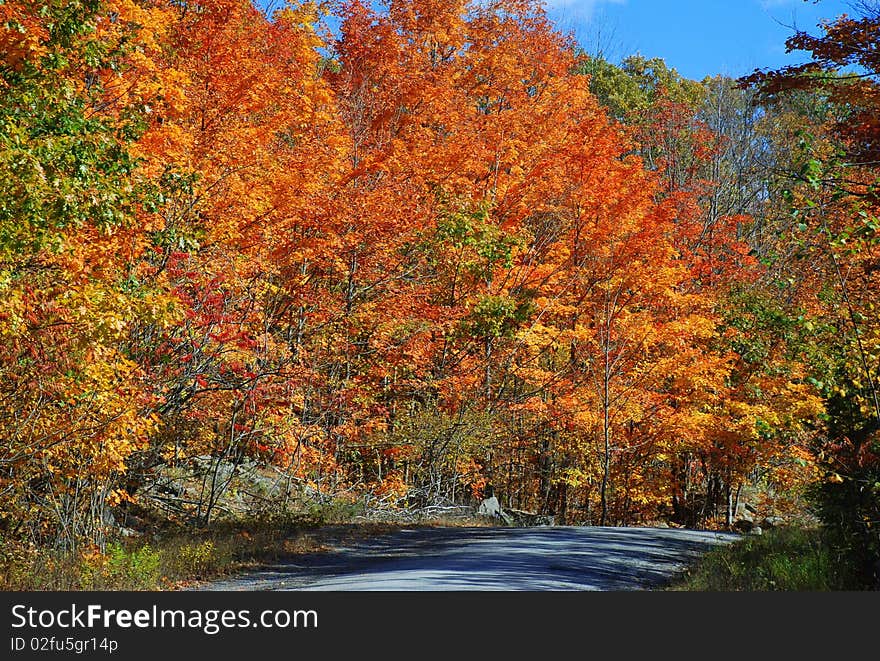 Bon echo national park