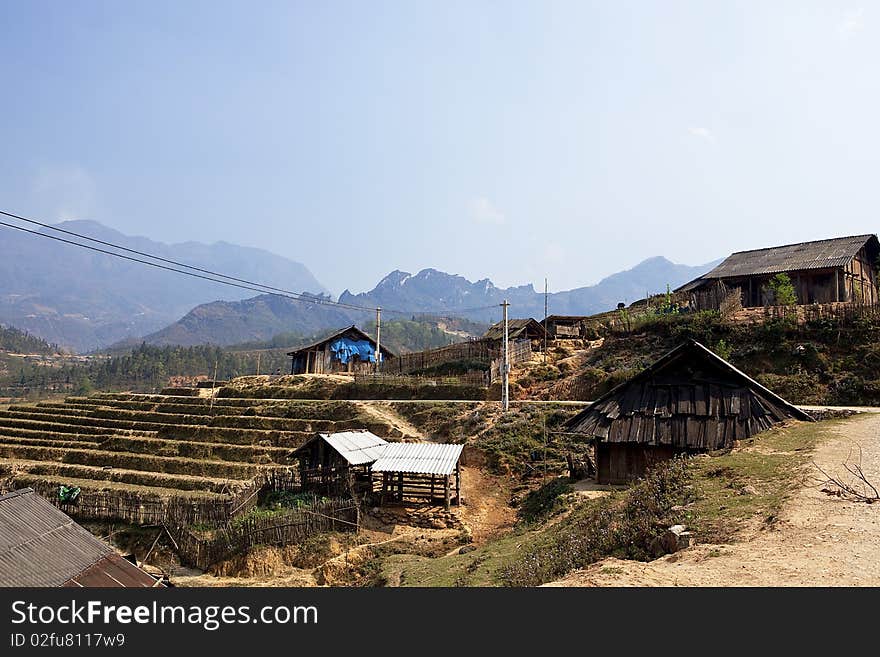 Rice Field in Sapa, Vietnam. Rice Field in Sapa, Vietnam