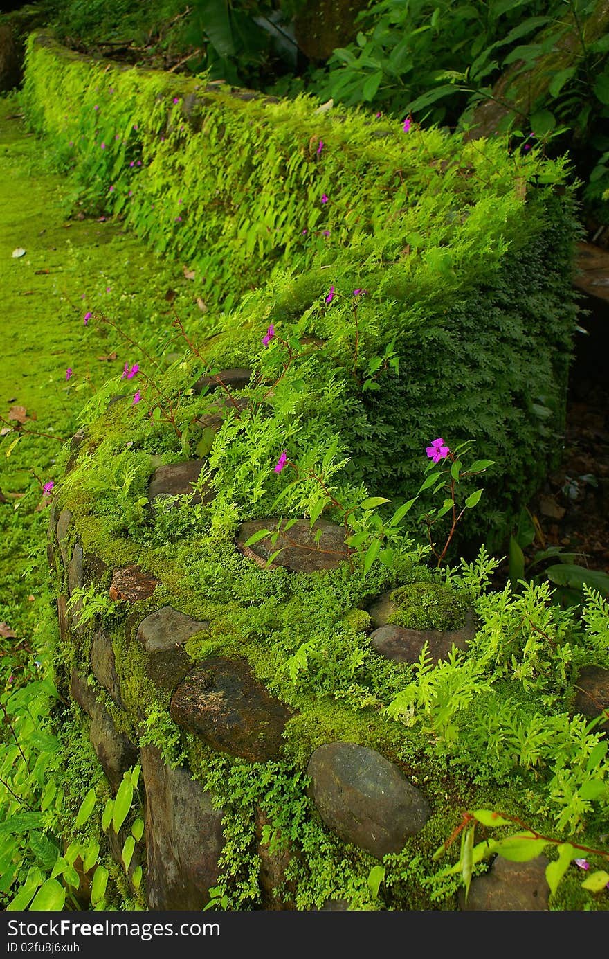 This is picture of the green way in thailand