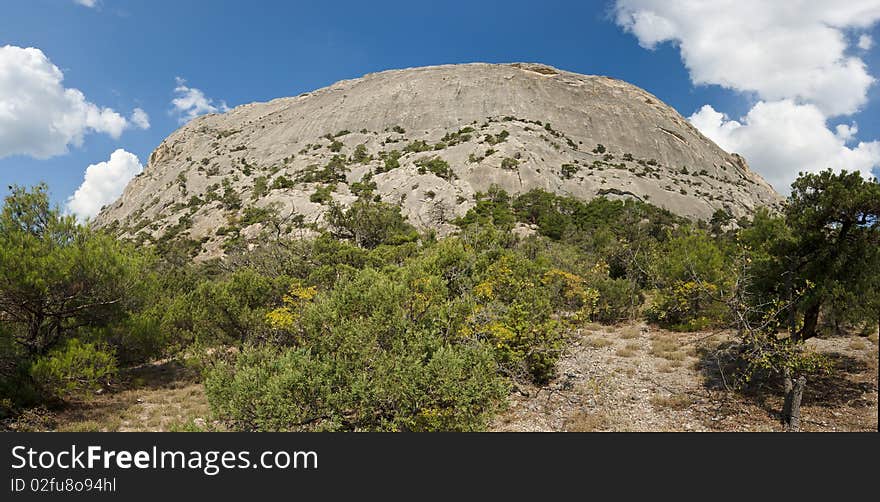 Crimea mountains with pine trees and juniper under blue sky. Crimea mountains with pine trees and juniper under blue sky