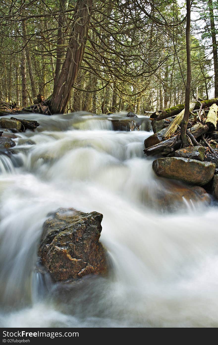 Beautiful cascade in the forest from Cap Tourmente Reserve Quebec Canada. Flowing water with stone. Beautiful cascade in the forest from Cap Tourmente Reserve Quebec Canada. Flowing water with stone.