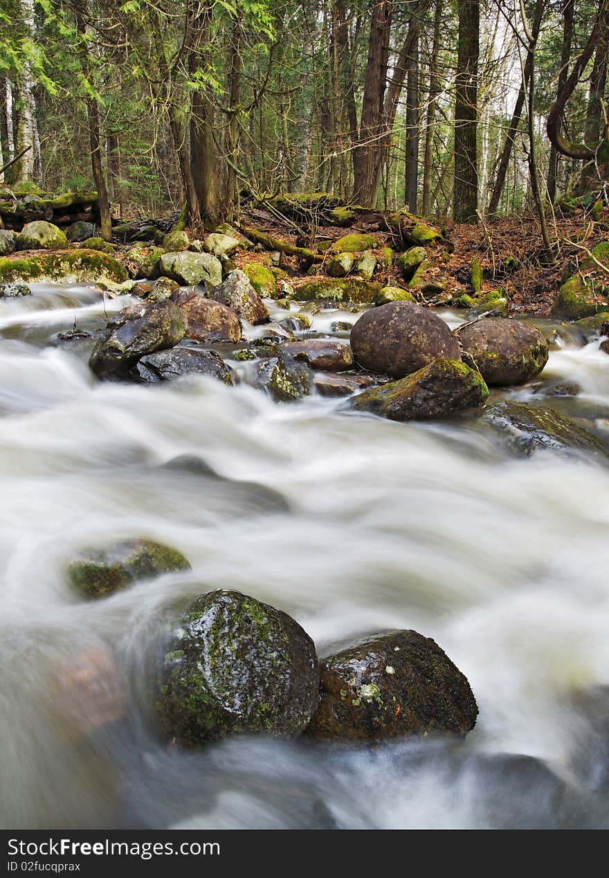 Beautiful cascade in the forest from Cap Tourmente Reserve Quebec Canada. Flowing water with stone. Beautiful cascade in the forest from Cap Tourmente Reserve Quebec Canada. Flowing water with stone.