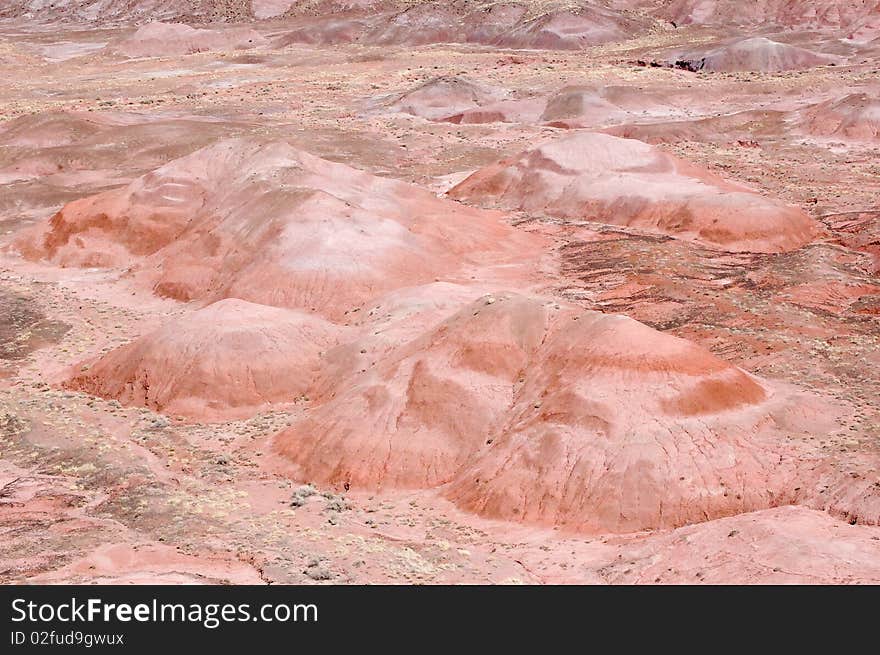 Petrified Forest Hills in the Arizona Desert