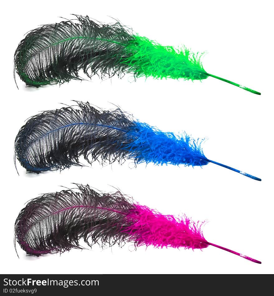 Set of bright  ostrich s feathers