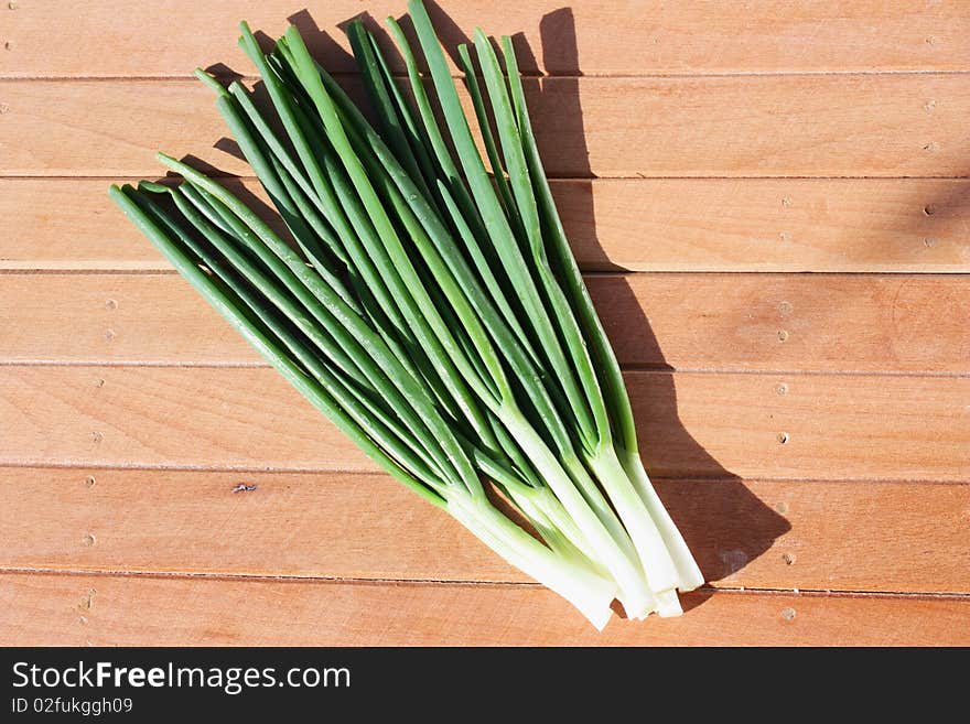 Spring Onion