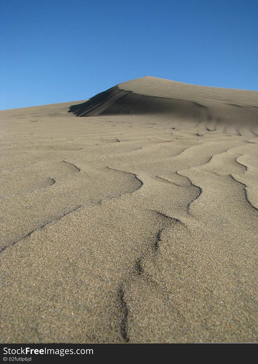 Dry Dune